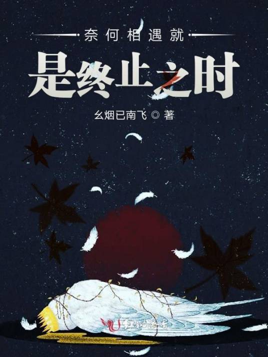 奈何相遇就是终止之时