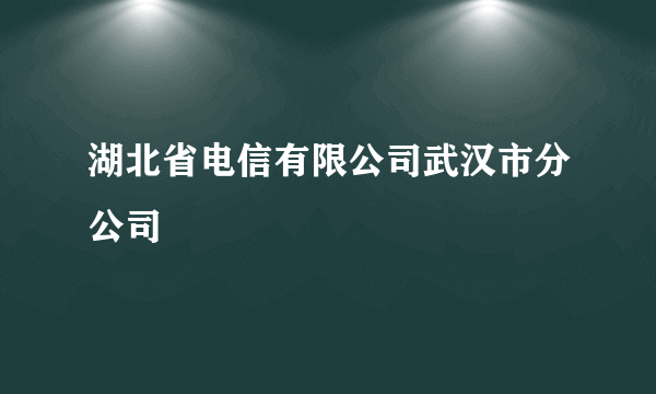 湖北省电信有限公司武汉市分公司