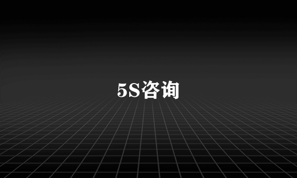 5S咨询