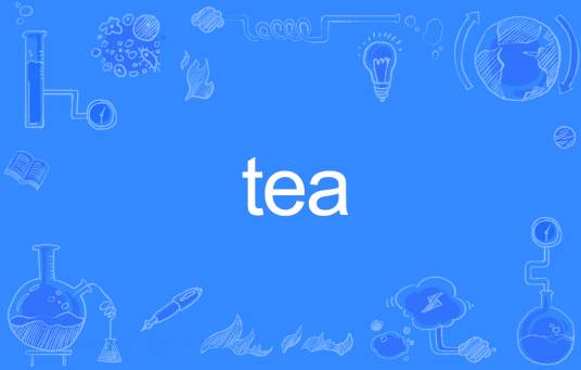 TEA（英文单词）