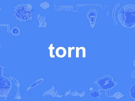 torn（英语单词）