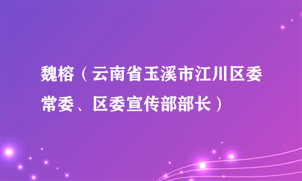 魏榕（云南省玉溪市江川区委常委、区委宣传部部长）