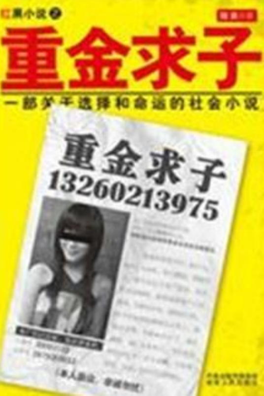 重金求子（2011年湖南人民出版社出版的图书）
