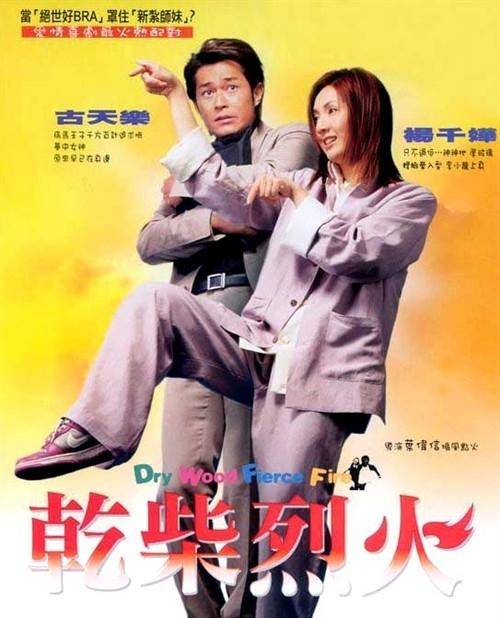 干柴烈火（2002年古天乐主演电影）
