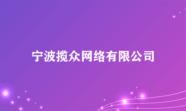 宁波揽众网络有限公司