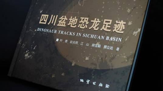 四川盆地恐龙足迹