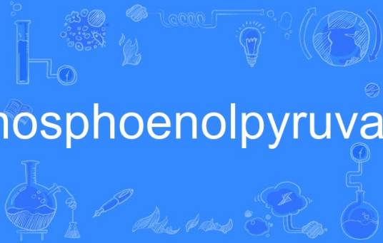phosphoenolpyruvate