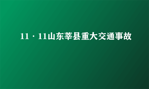 11·11山东莘县重大交通事故