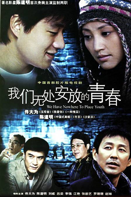 我们无处安放的青春（2008年陈道明主演电视剧）