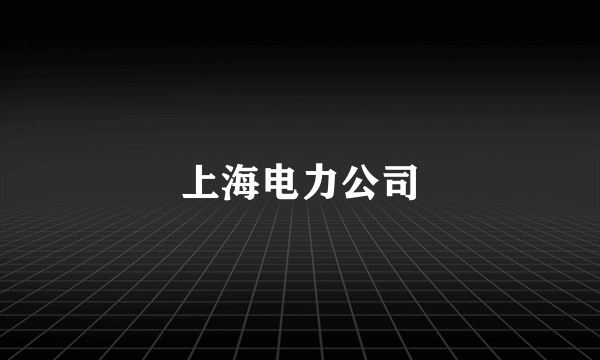 上海电力公司