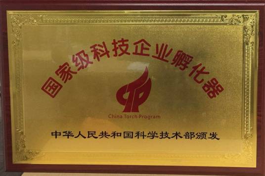 孵化器（专门为扶持科技型企业而设计和运作的体系）