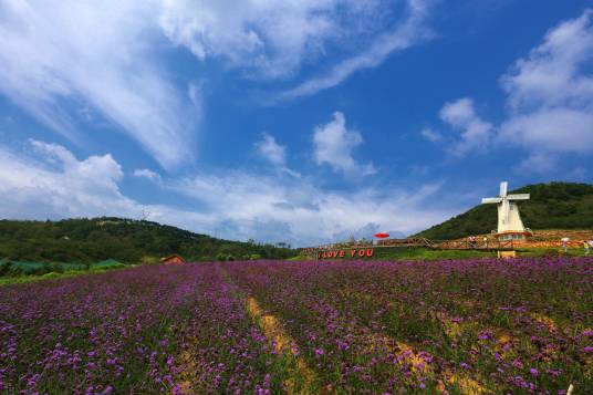 紫云花汐熏衣草庄园