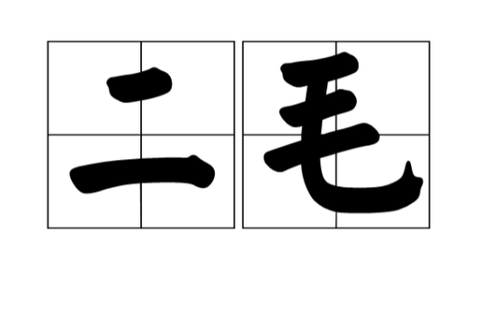 二毛（汉语词语）