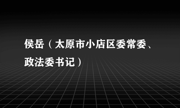 侯岳（太原市小店区委常委、政法委书记）