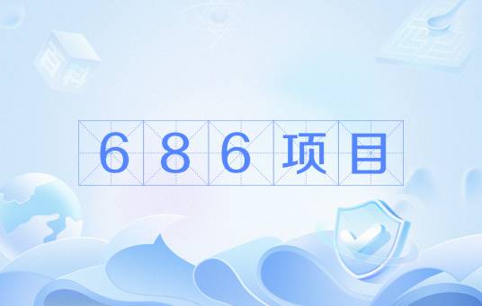 686项目