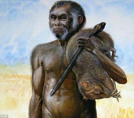 霍比特人（人类种族）