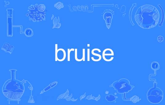bruise（英语单词）