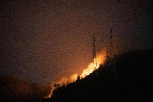 1·21南山森林公园火灾