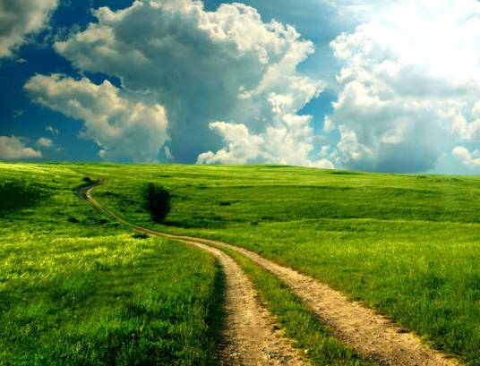 故乡的小路（陈克正作词，崔蕾作曲的歌曲）