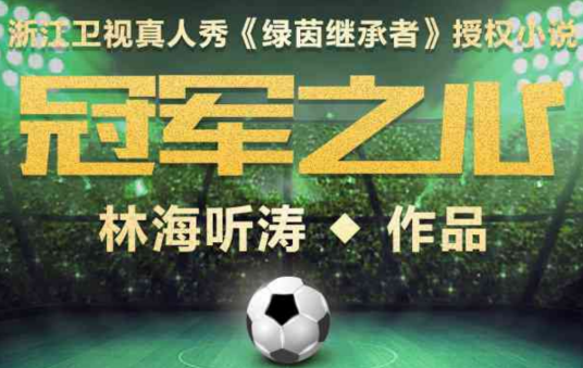 冠军之心（林海听涛创作的网络竞技类网络小说）