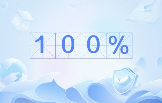 100%（百分数）