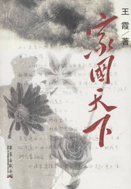 家国天下（2006年华艺出版社出版的图书）