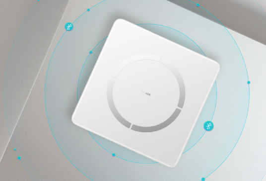 荣耀智能体脂秤2