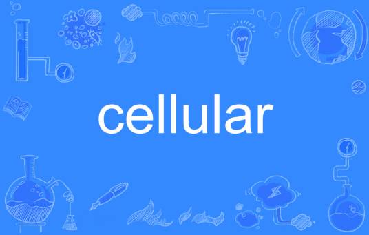 Cellular（英语单词）