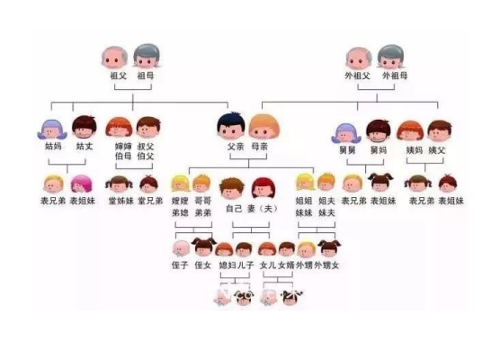 亲属关系图