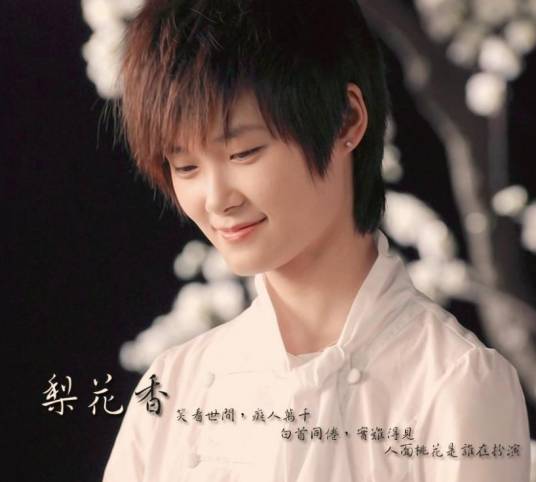 梨花香（2008年李宇春演唱的歌曲）