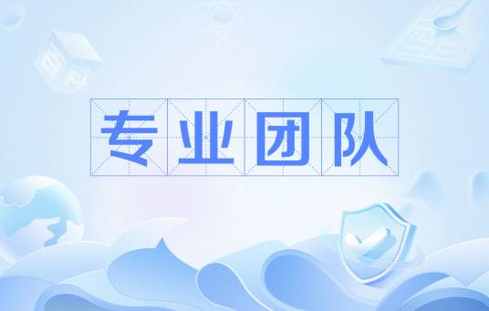 专业团队（网络语）