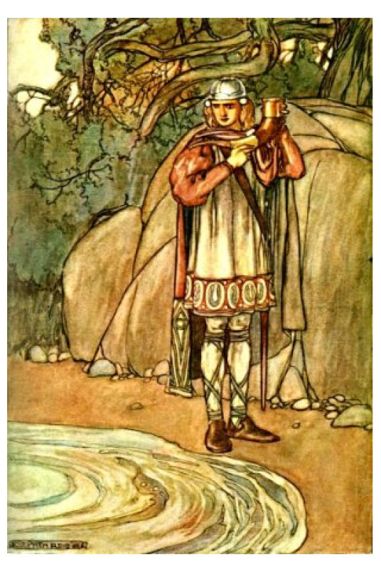 迪卢木多·奥迪那（凯尔特神话中的英雄）