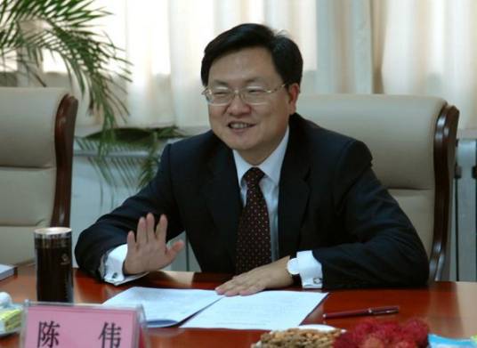 陈伟（浙江华景通旅游开发有限公司董事长）