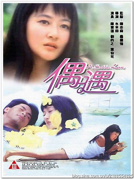 偶遇（香港1995年水禾田指导的电影）