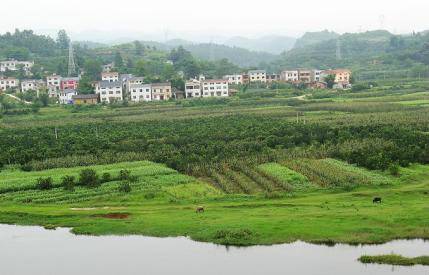 向西村（广东省东莞市石排镇向西村）