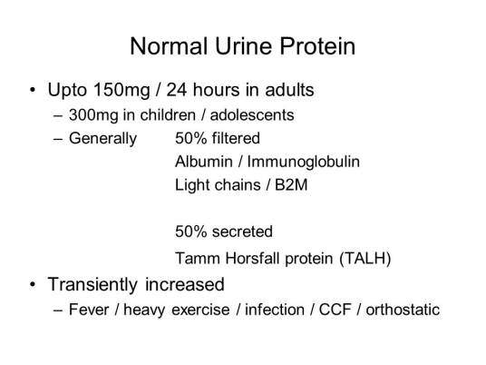 24小时尿蛋白定量