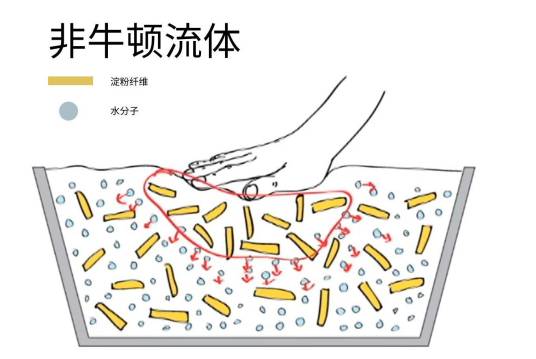非牛顿流体力学
