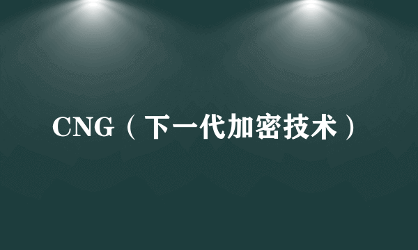 CNG（下一代加密技术）