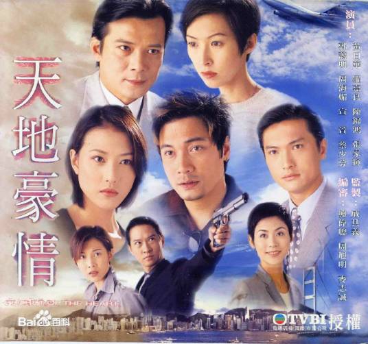 天地豪情（1998年罗嘉良、陈锦鸿主演时装剧）