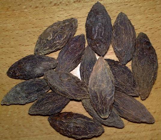 西青果（使君子科植物诃子的幼果）