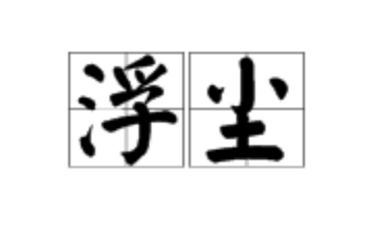 浮尘（汉语词语）