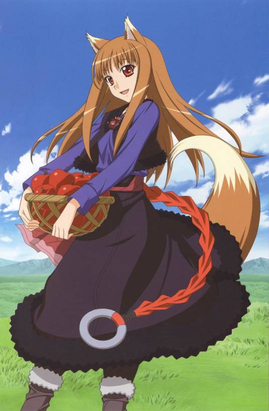 狼与香辛料（日本IMAGIN改编的电视动画）