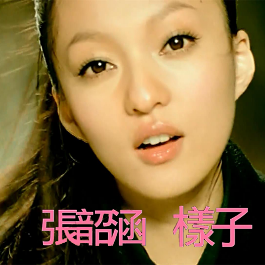 样子（张韶涵演唱歌曲）