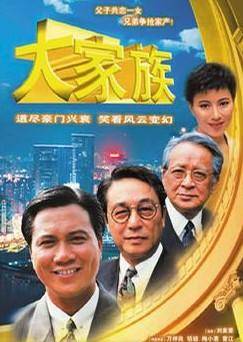 大家族（1991年刘家豪执导的剧情剧）