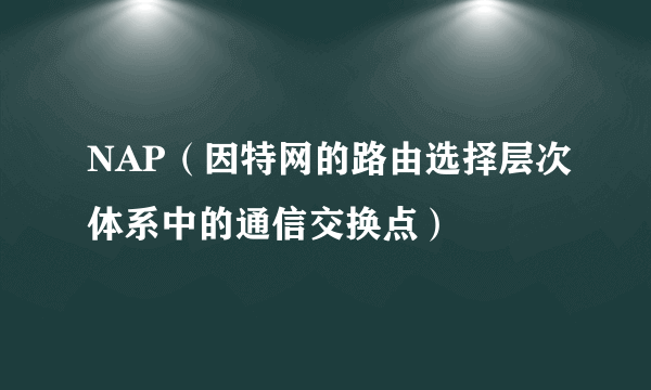 NAP（因特网的路由选择层次体系中的通信交换点）