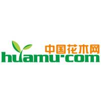 中国花木网