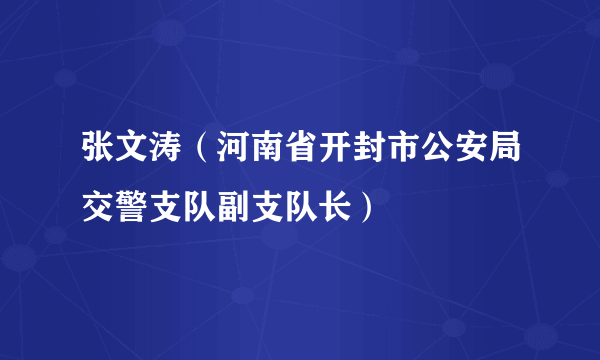 张文涛（河南省开封市公安局交警支队副支队长）