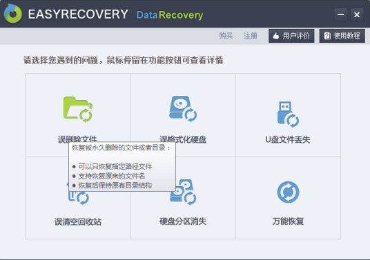 EasyRecovery Professional