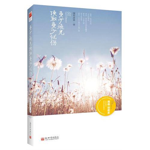 多少流光换取多少忧伤