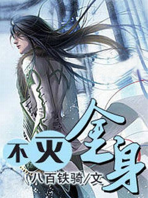 不灭金身（八百铁骑创作的网络小说作品）